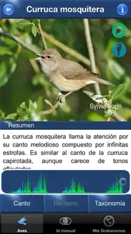 Cantos de Aves Id iphone bilder 1
