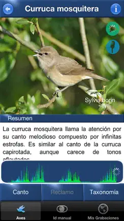 Cantos de Aves Id iPhone image 2