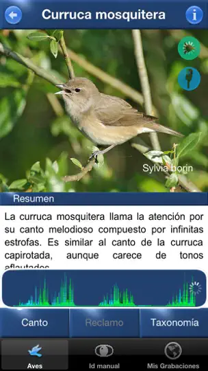 Captura de pantalla de Cantos De Aves Id en iPhone 2