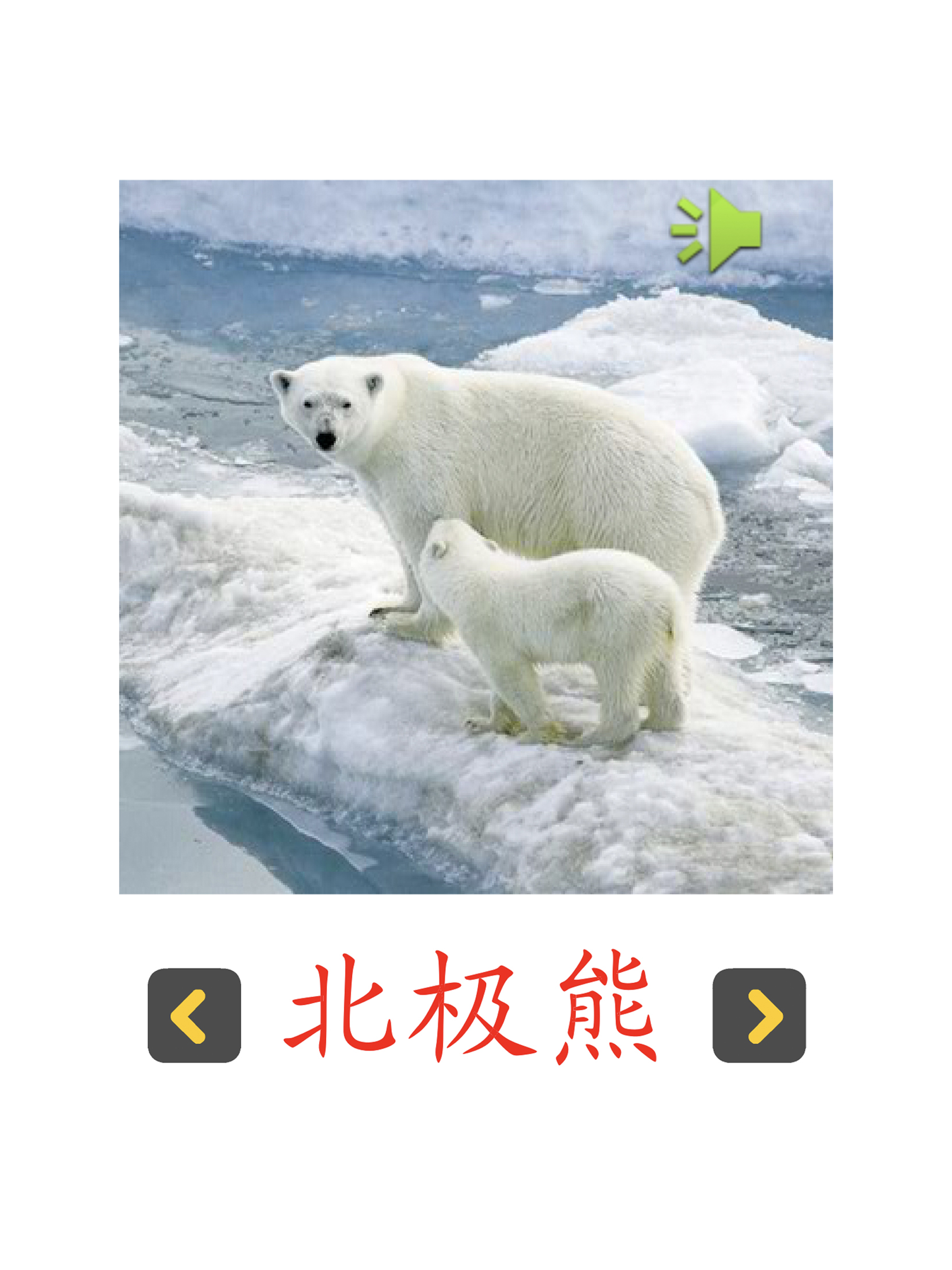 认知卡认识动物