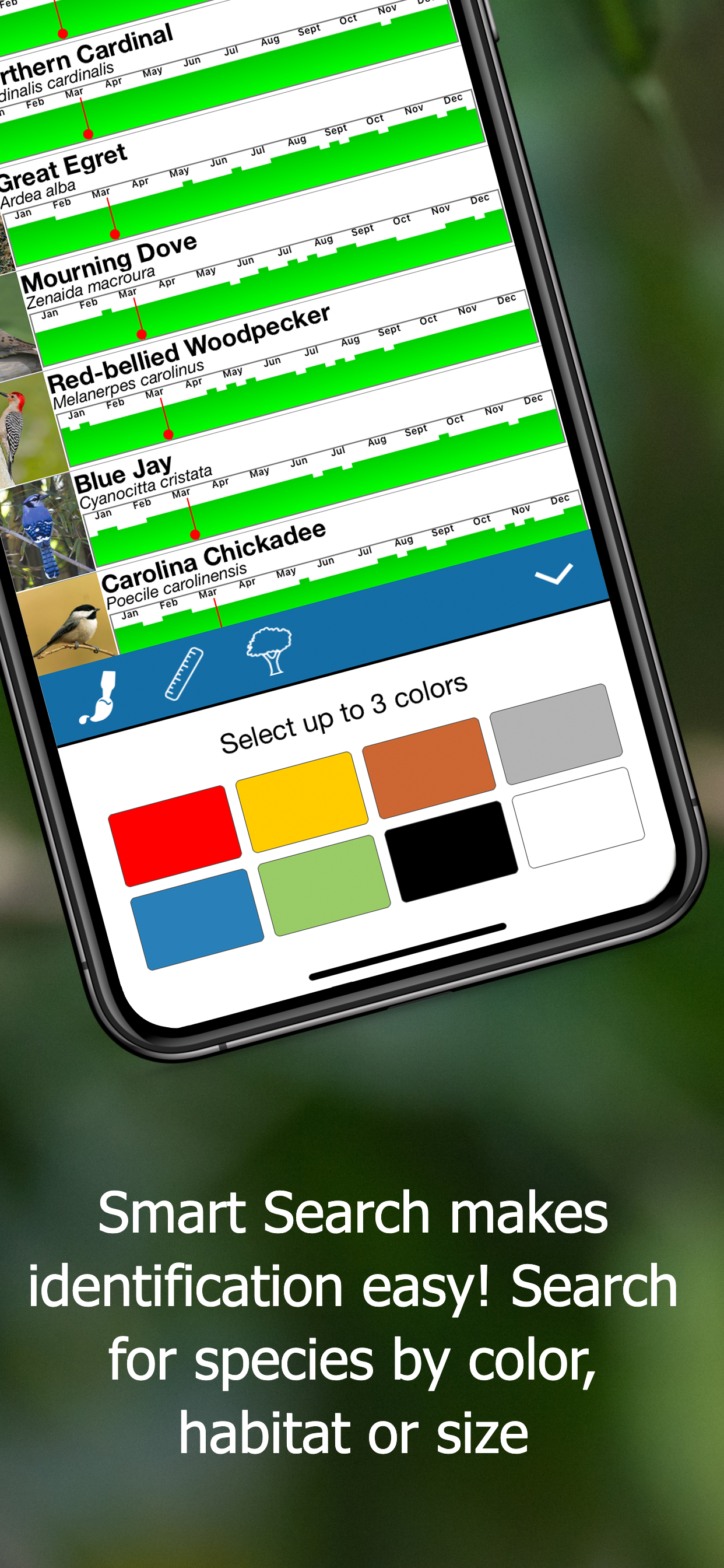 BirdsEye Bird Finding Guide