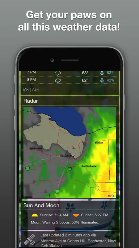 Lil BUB Cat Weather Report screenshot 5 of 5