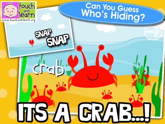 Screenshot #4 pour Peekaboo Ocean - Who's Hiding?