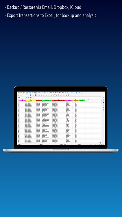 ibudgetPro II screenshot-4