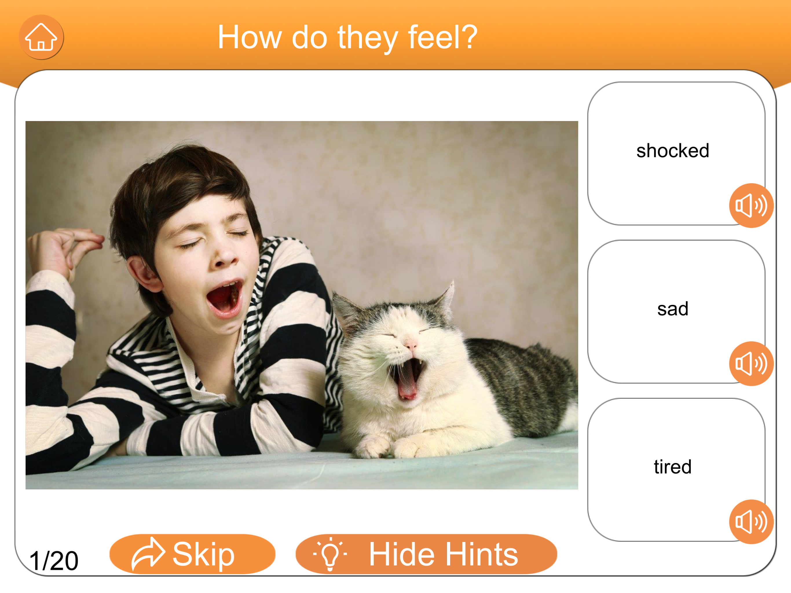 Inference Pics Lite