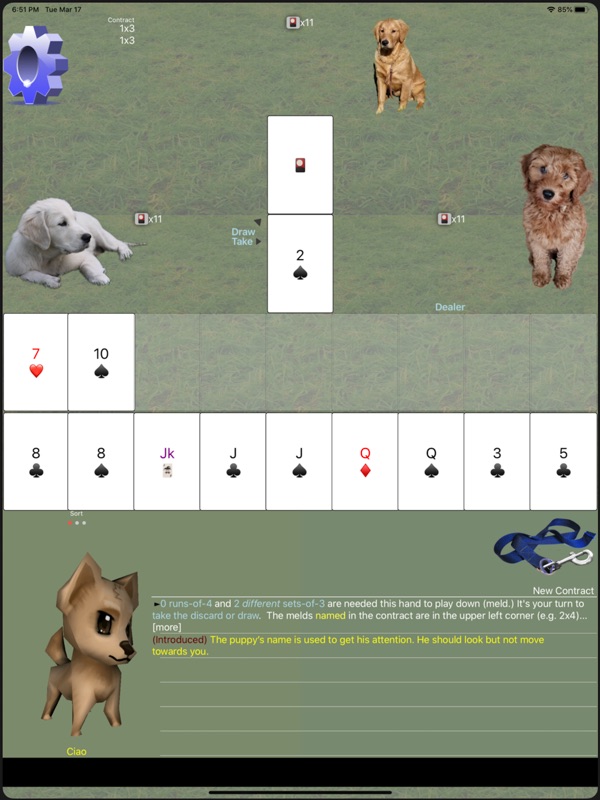 Rummy: K9 Shanghai Rum screenshot 7