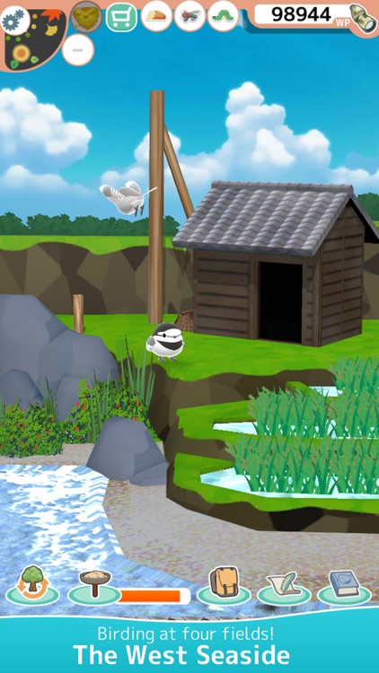 Toriwatch2 -fluffy small birds