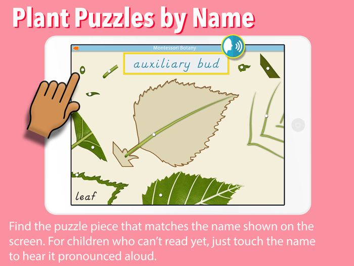 Learn Botany - Parts of Plants