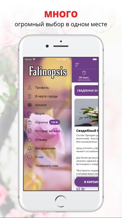 «ФАЛИНОПСИС» | Бобруйск