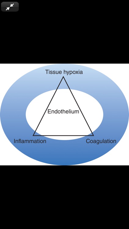 Tintinalli's ER Study Guide 9E screenshot-7