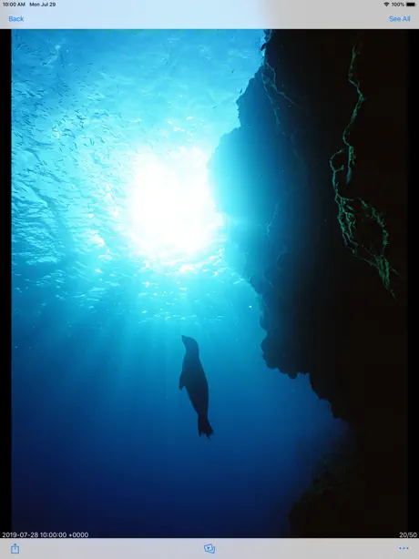 WebAccess i HD