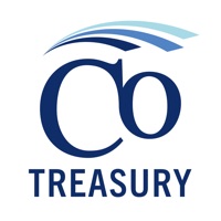  Comerica Treasury Mobile® Alternative