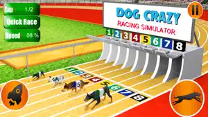 Dog Crazy Race Simulator 2023 screenshot 3