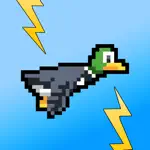 Zappy Duck App Contact