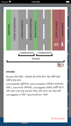 EasyPatente - Quiz Patente B screenshot 2