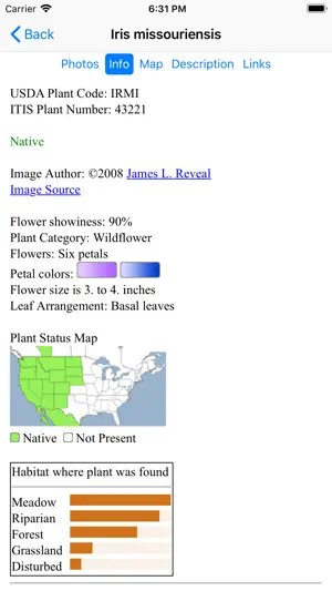 New Mexico Wildflowers screenshot 4