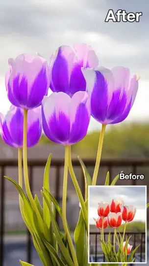 Скриншот Color Changer-Coloring Editor на iPhone 3