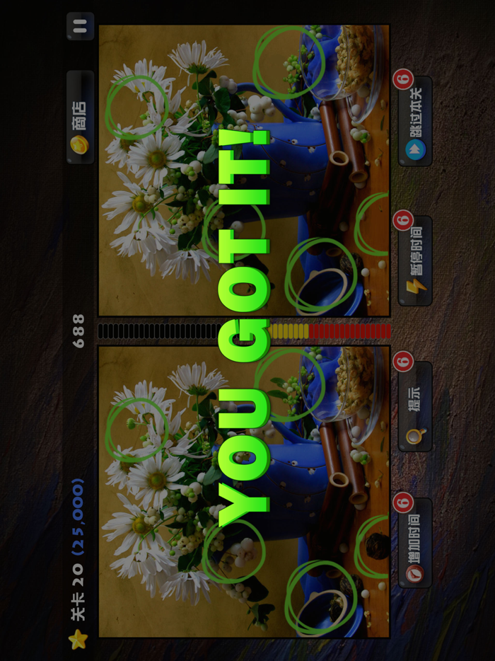 Spot The Difference Puzzle