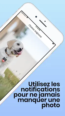 Game screenshot Photos chiens mignons apk