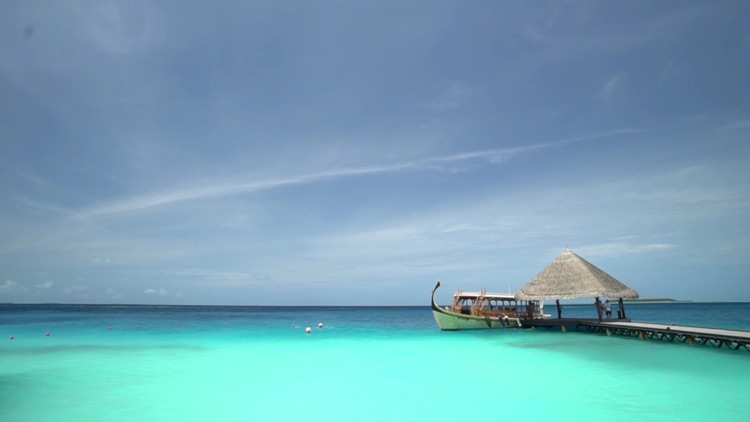 Sea waves and beaches HD