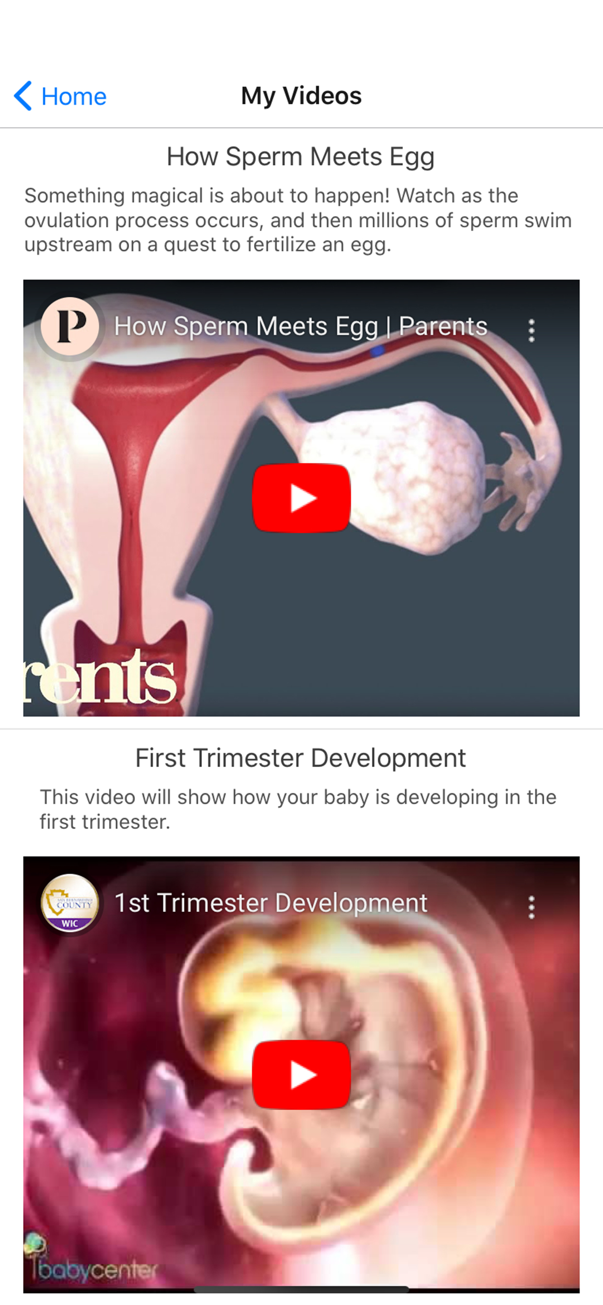 My Saskatchewan Pregnancy screenshot 7