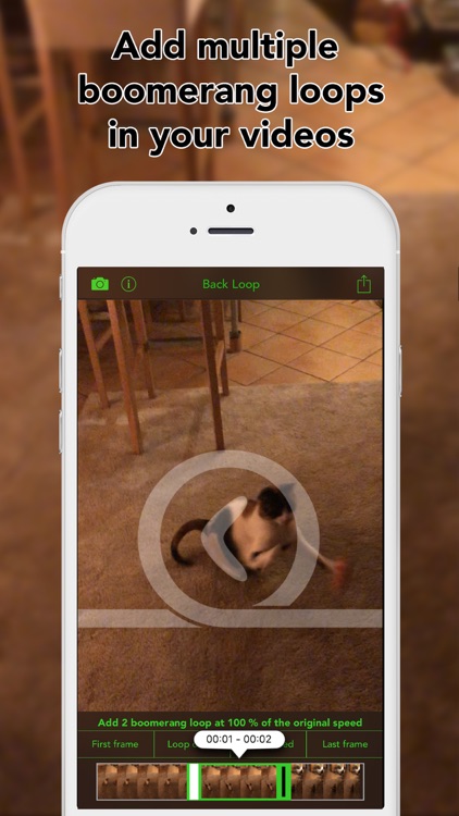 Back Loop screenshot-0