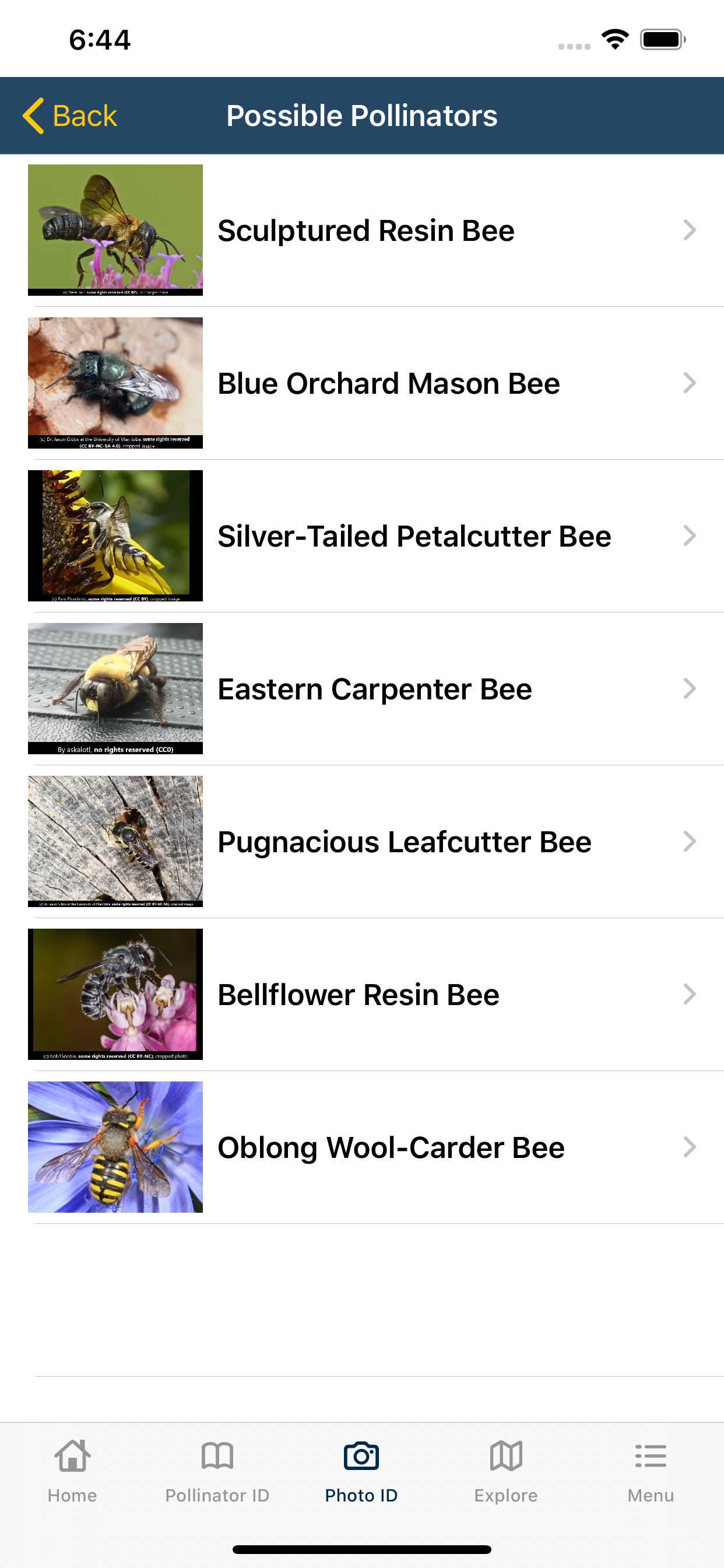 PolliNation ID