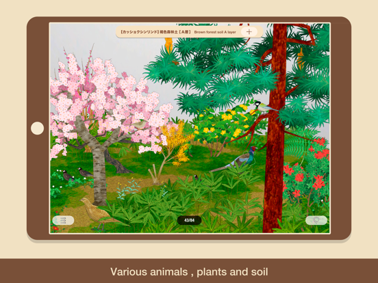 Screenshot #5 pour “SOIL“