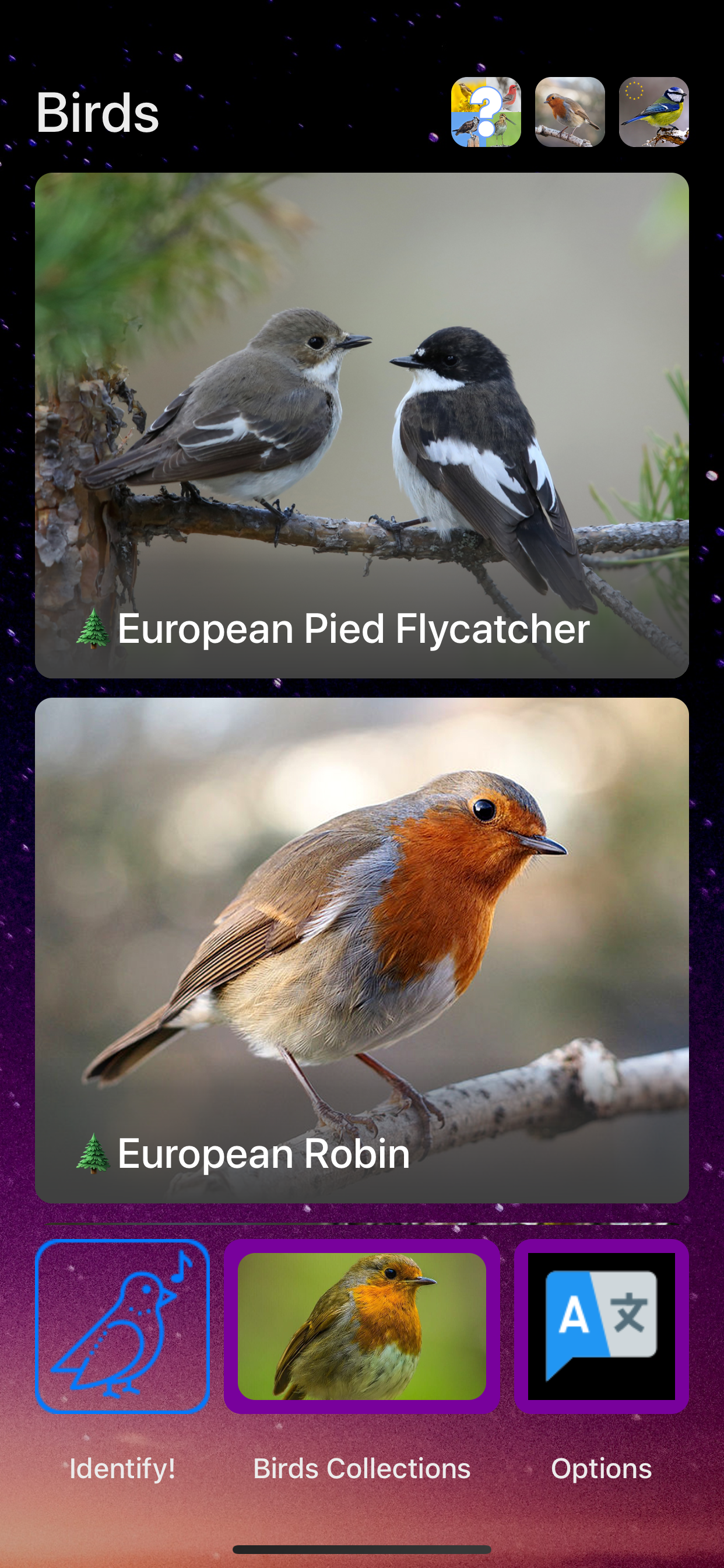 Bird Song/Photo Identification screenshot 4