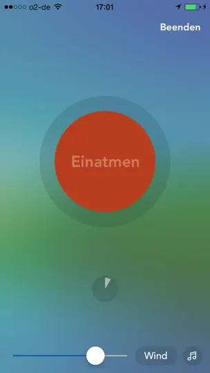 Screenshot von Vagusvit Home auf dem iPhone 2