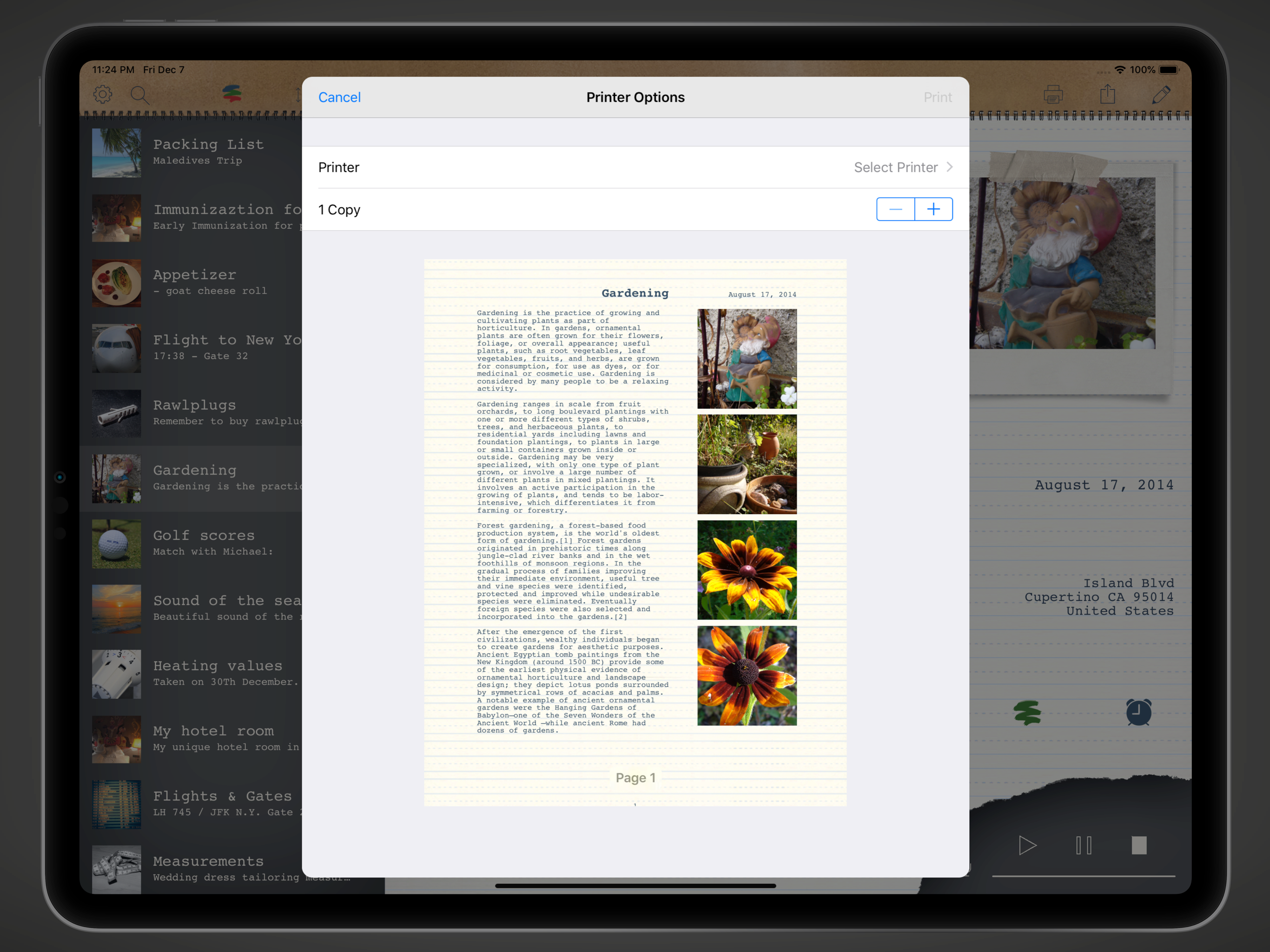 memono Journal screenshot 14