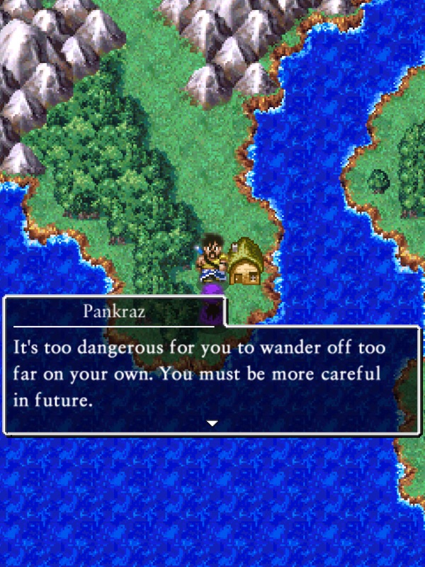 DRAGON QUEST V screenshot 9