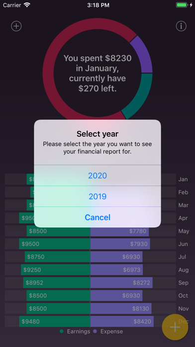 Budgetina iPhone screenshot 8 - Finance app
