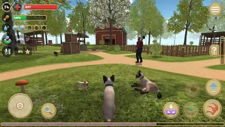 Cat Simulator 2020