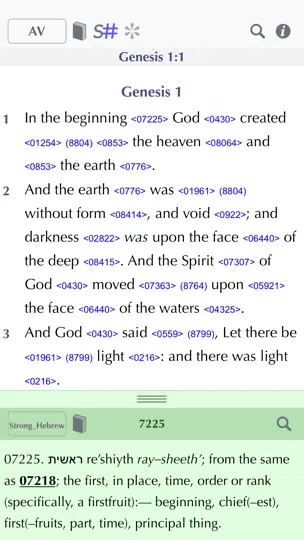 Screenshot von Online Bibel auf dem iPhone 5