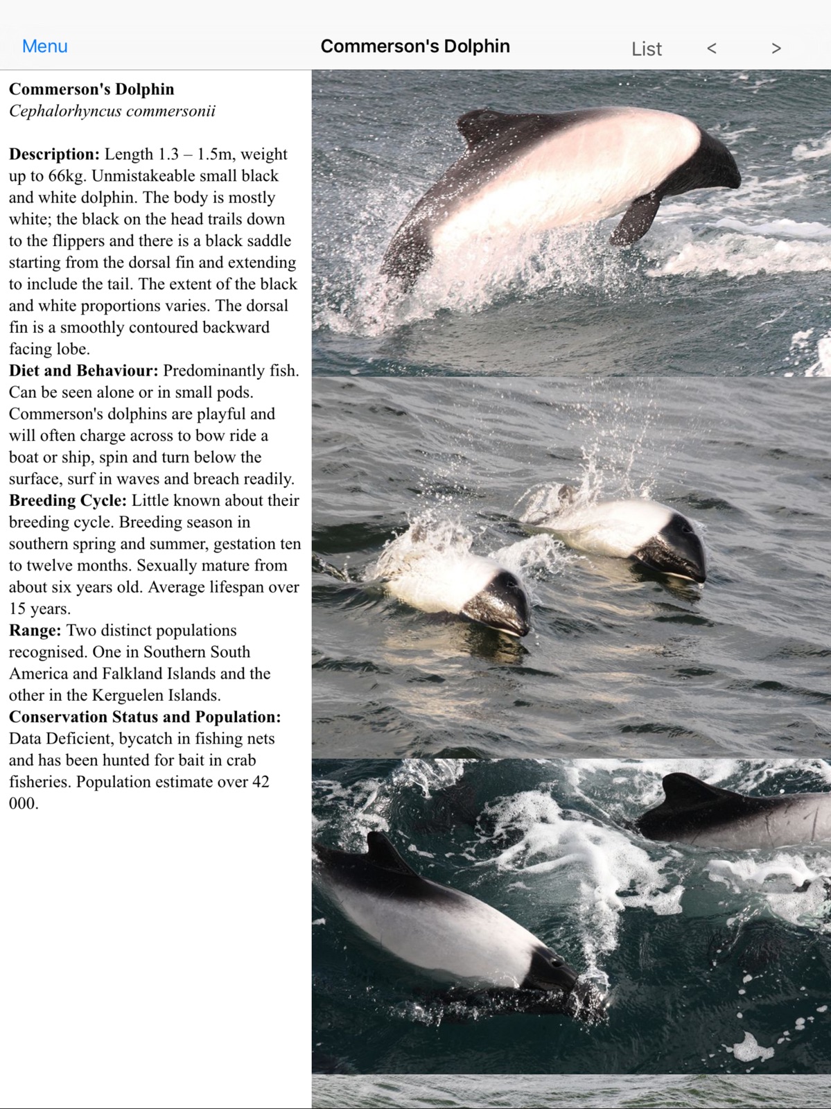 Antarctic Wildlife Guide ipad screenshot 4