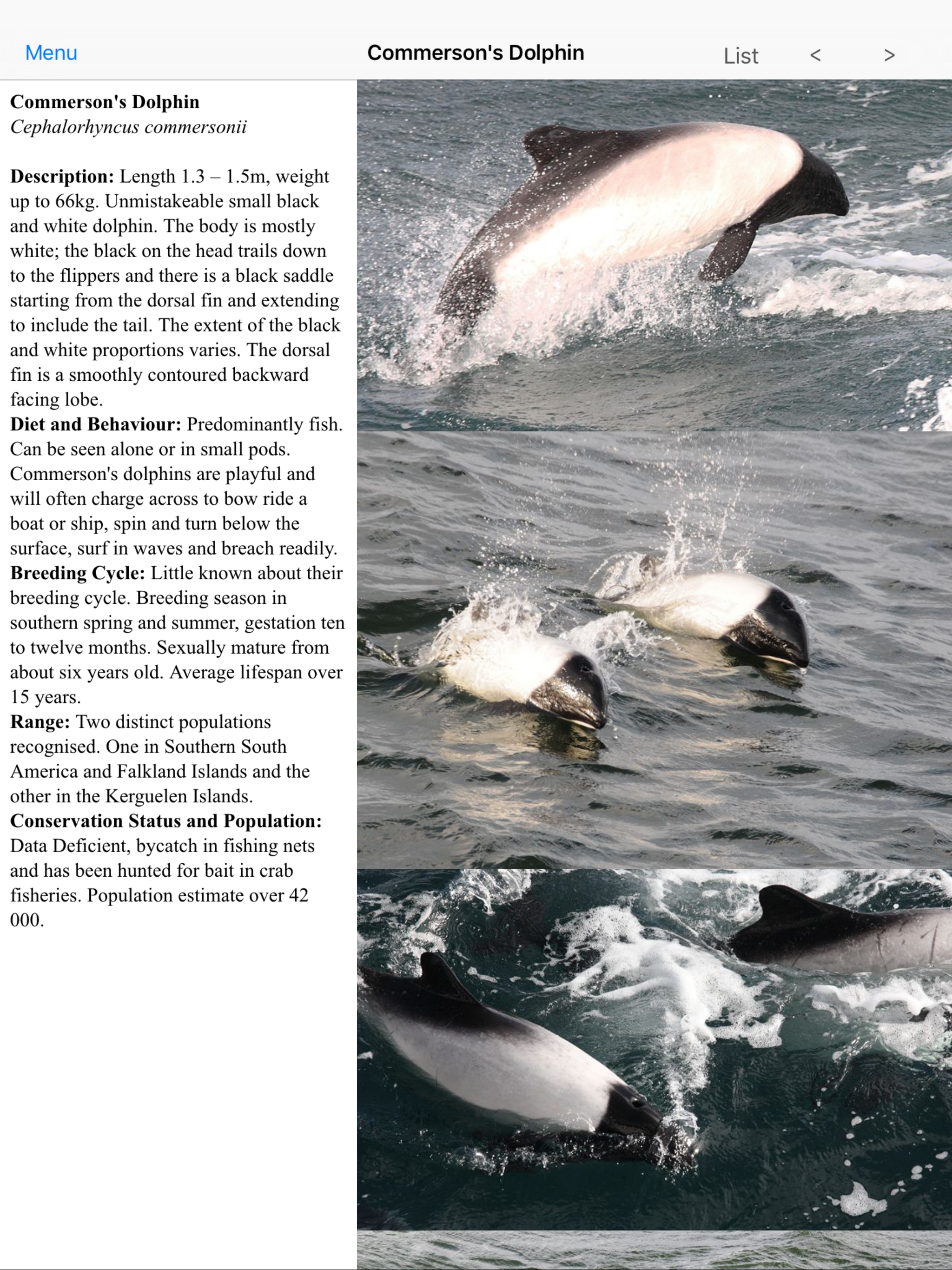 Antarctic Wildlife Guide