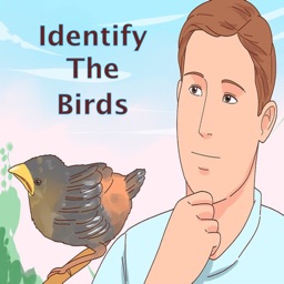 Identify The Birds