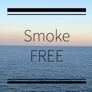 Smoke FREE V2.0 - SMOKELESS