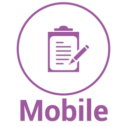 Vision Mobile Audits