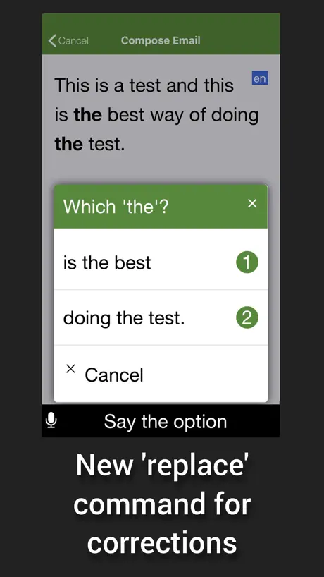 Speaking Email - voice reader