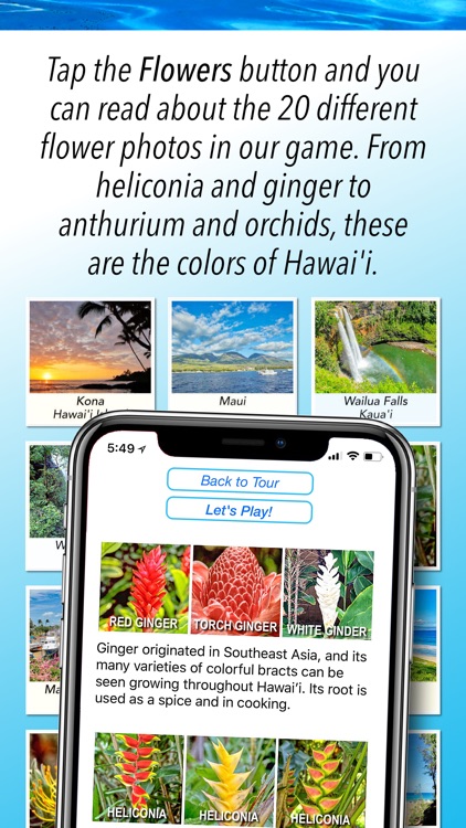 Hawai'i Match Game Photo Tour screenshot-3