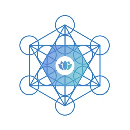 MetaLotusApp LLC Читы