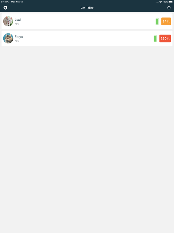 Cat Tailer iPad screenshot 1 - Lifestyle app
