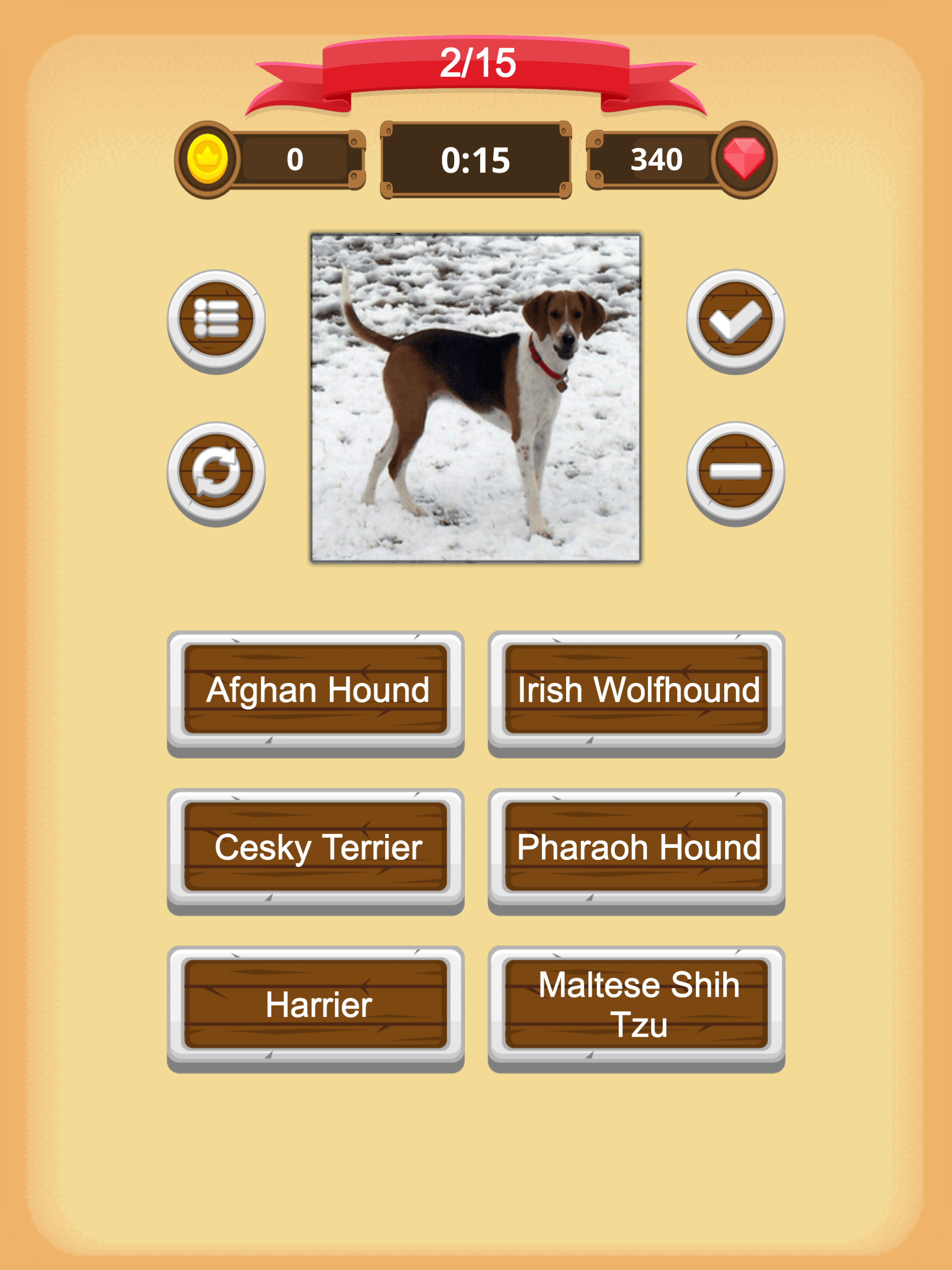 Dogs - Quiz screenshot 11