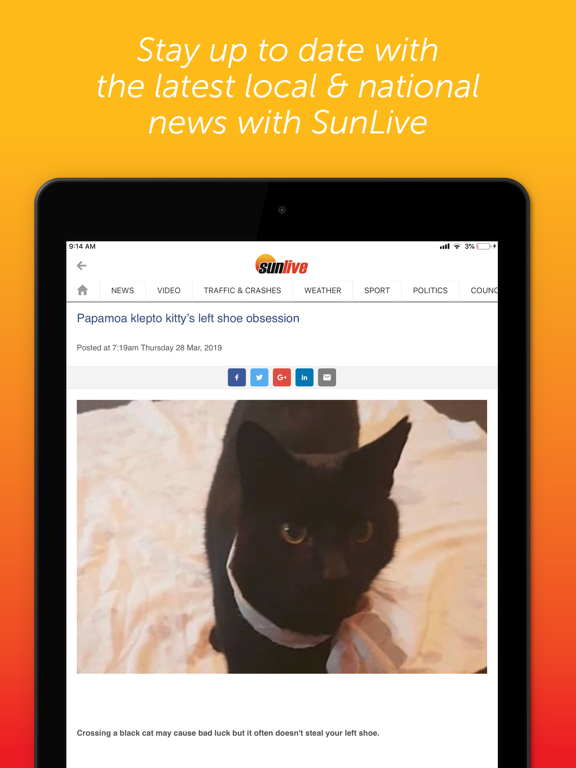 Screenshot #6 pour SunLive NZ