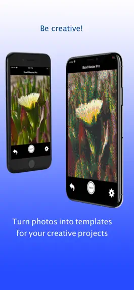 Game screenshot Bead Master Pro apk