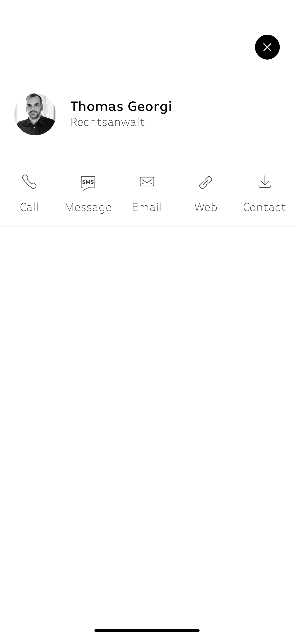 RA Georgi screenshot 5