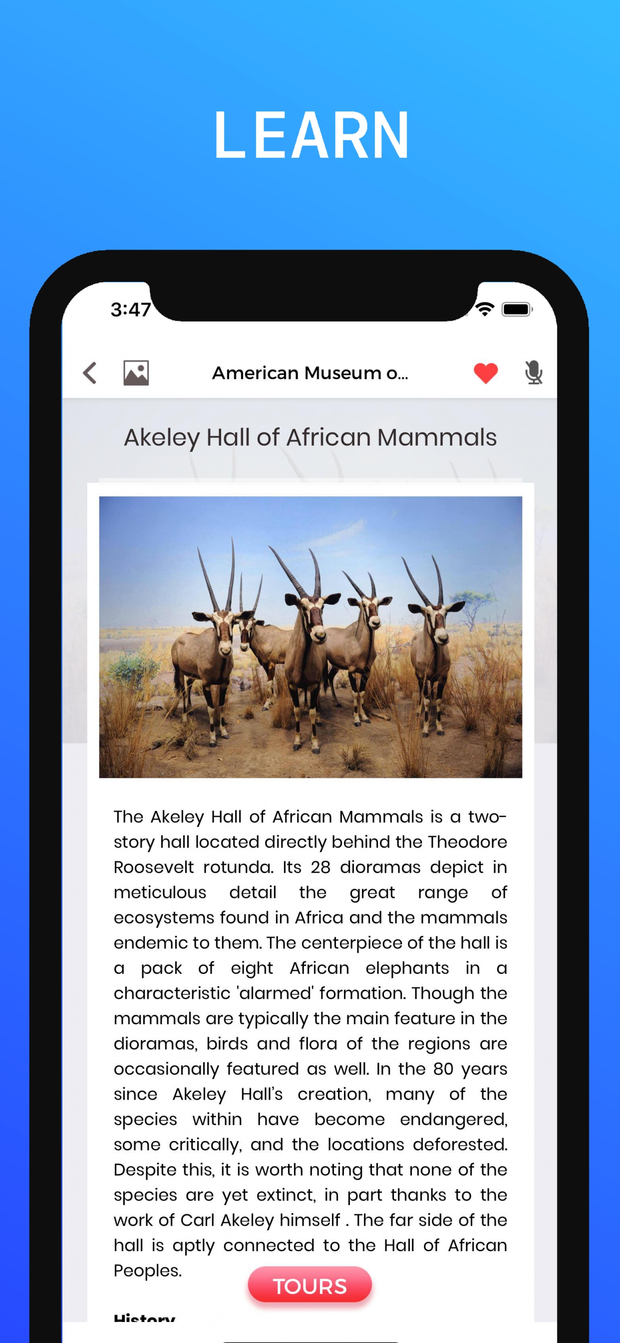 American Museum of Nat History screenshot 5