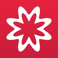 MathStudio Express logo